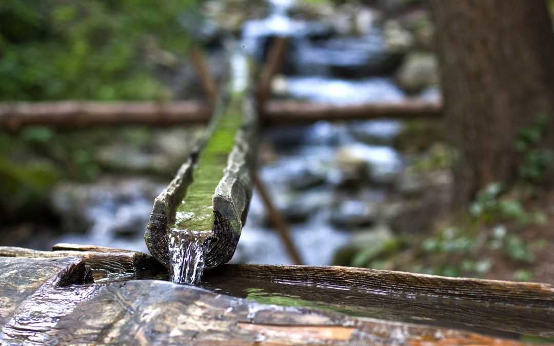 Der Weg am Wasser